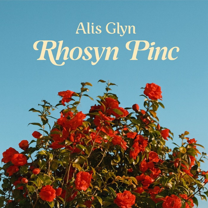 Rhosyn Pinc