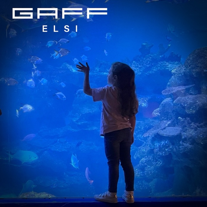 Elsi
