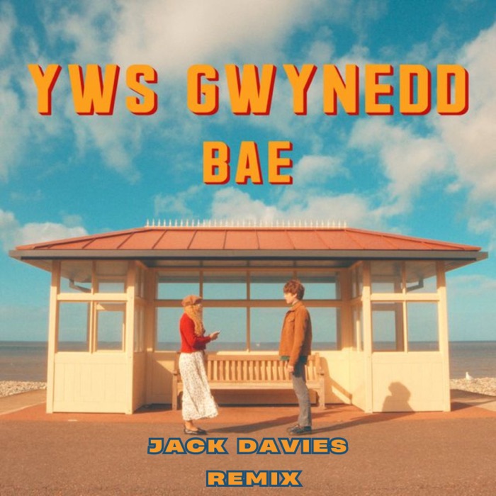 Bae Remix